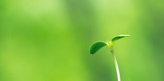 PAROKI PEDULI LINGKUNGAN