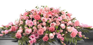 Awal Tahun 2017, 14 Uskup Wafat