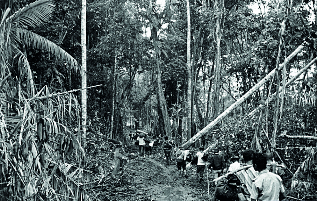 3915SU_foto-1-foto head