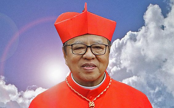 Ignatius Kardinal Suharyo Hardjoatmodjo : Hadiah Toleransi Vatikan
