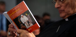 6 Hal yang Perlu Kamu Ketahui Tentang “Querida Amazonia”