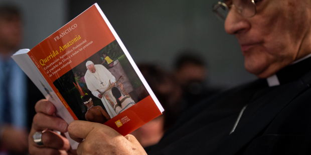 6 Hal Yang Perlu Kamu Ketahui Tentang Querida Amazonia Hidupkatolik Com