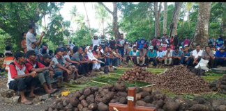 Panen Kebun: Ungkapan Syukur Atas Berkat Tuhan