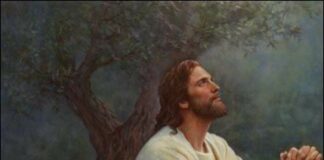 Renungan Harian 30 September 2020 “Bapa Kami”