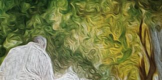 KUNJUNGAN UNTUK ADVEN