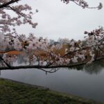 BERTEMU MALAIKAT DI TOKYO