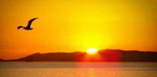 Menghadapi Keadaan yang Tak Dapat Diubah