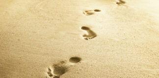 PENGEMUDI HIDUP KITA