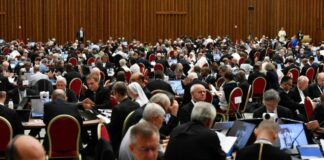 Refleksi Teologis Pater Galli pada Modul B2: “Tanggung Jawab Sinode Bersama dalam Misi Evangelisasi”