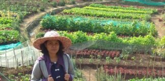 Maya Stolastika Boleng : Petani Organik Milenial