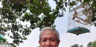 Bob Novandi: Goresan Tinta Jokowi