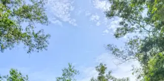 Fansiskus Tomi Mapa, paus,SFTF Widya Sasana Malang,Tahun Yu,Tahun Yunbileuam,