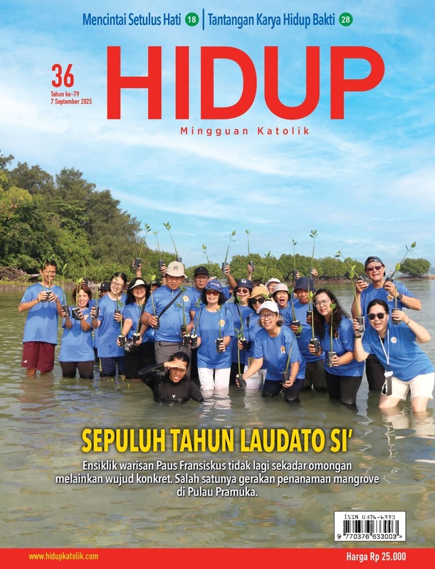 Cover 36
